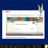 Gifted Students Self-Assessment Editable School Counseling Data Collection Tool